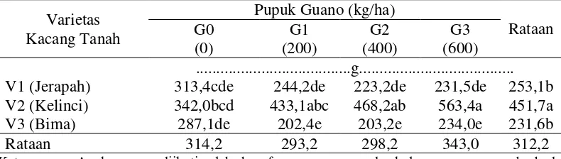 Tabel 5. Bobot polong per plot tiga varietas kacang tanah terhadap dosis pupuk guano. 
