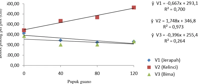 Gambar 5. Hubungan bobot polong per plot tiga varietas kacang tanah terhadap   dosis pupuk guano