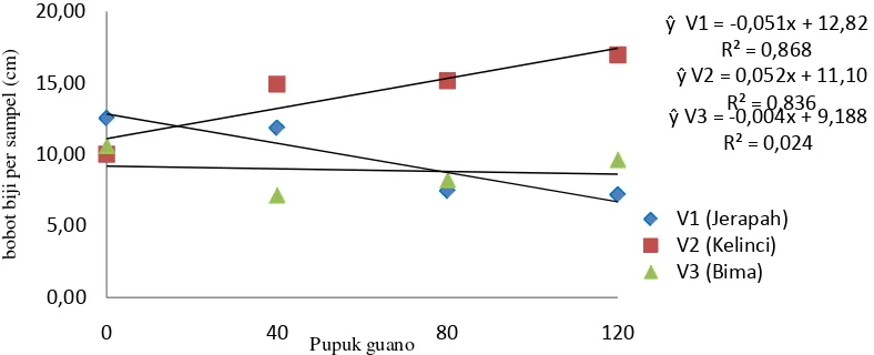 Tabel 6. Bobot biji per sampel tiga varietas kacang tanah terhadap dosis pupuk                    guano