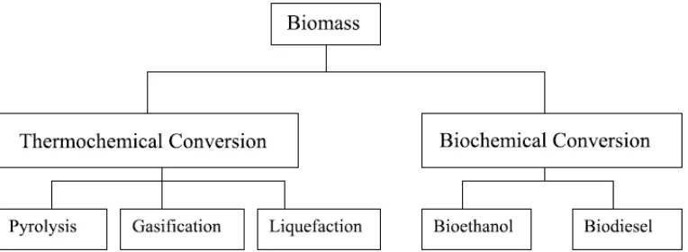 Gambar 2.1. Proses Konversi Biomassa sebagai Sumber Energi Hijau  (Demirbas, 2008) 
