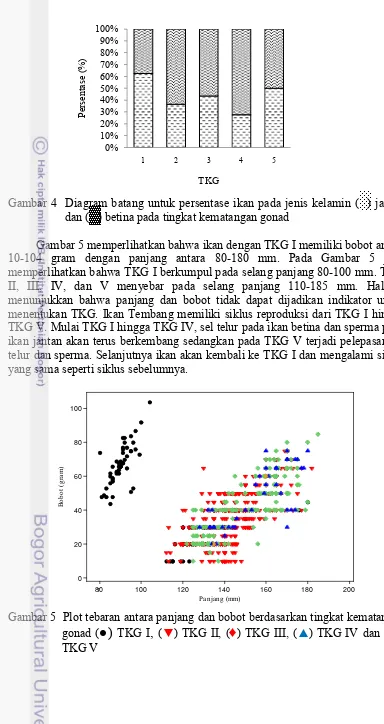 Gambar 4  Diagram batang untuk persentase ikan pada jenis kelamin ( ░) jantan 