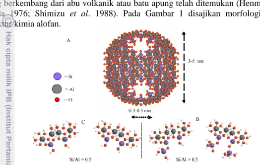 Gambar 1  Morfologi dan struktur kimia Alofan