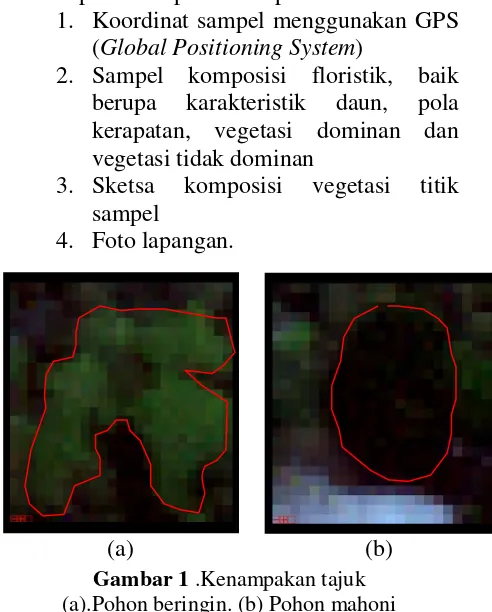 Gambar 1 .Kenampakan tajuk  