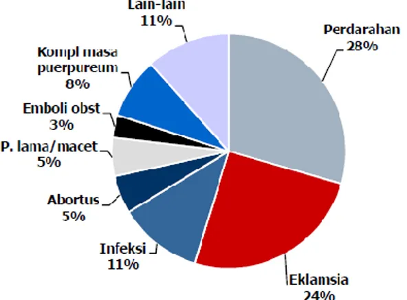 Gambar 2.1  Diagram Penyebab Kematian Ibu Hamil (Kemenkes RI, 2011) 