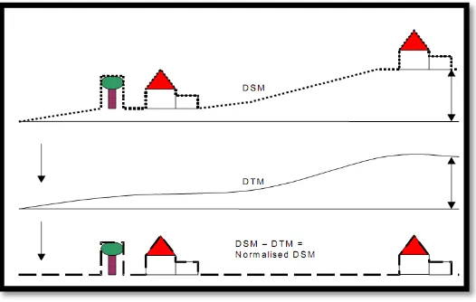 Gambar 1. DSM, DTM dan N-DSM Sumber: Elberink dan Maas (2000) 
