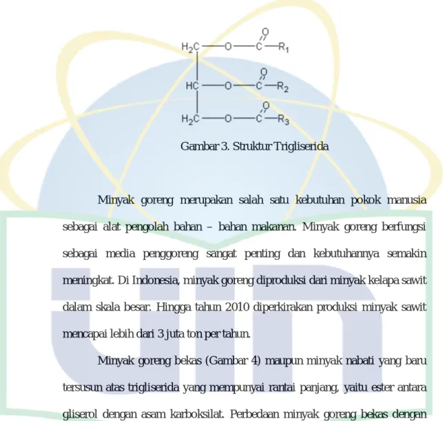 Gambar 3. Struktur Trigliserida 