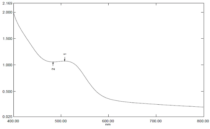 Gambar 4.3 Panjang Gelombang Antosianin 