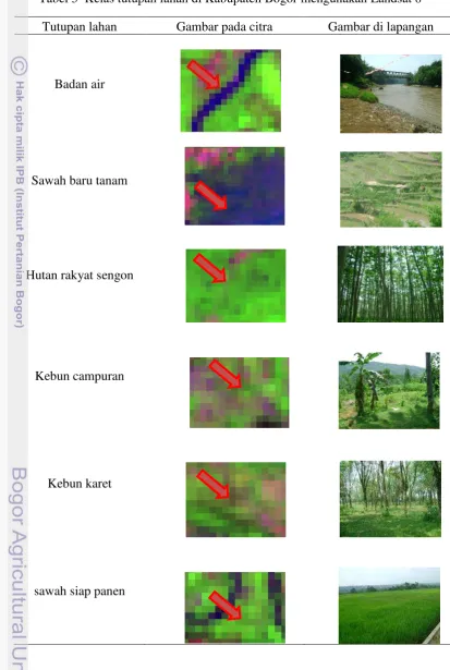 Tabel 5  Kelas tutupan lahan di Kabupaten Bogor mengunakan Landsat 8 