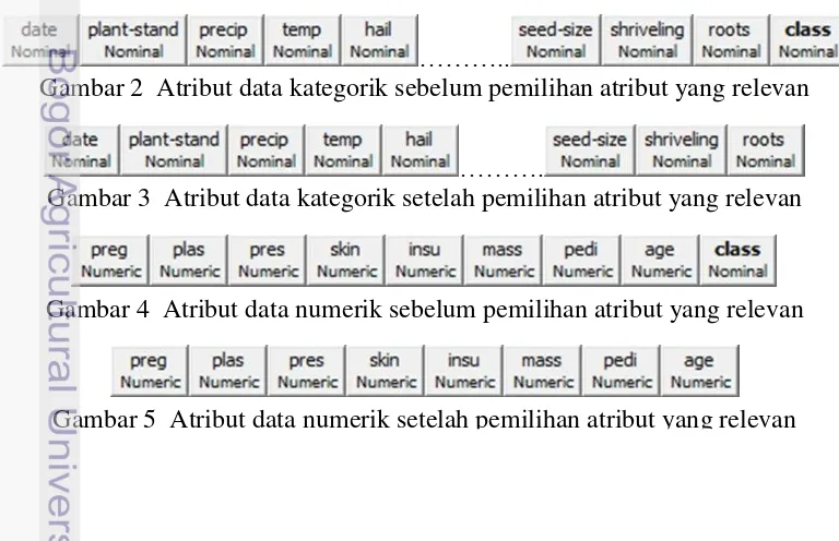 Gambar 2  Atribut data kategorik sebelum pemilihan atribut yang relevan 