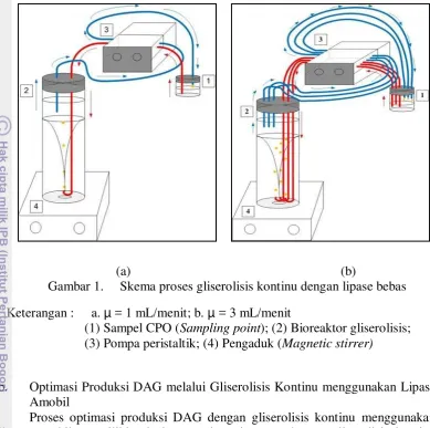 Gambar 1.  Skema proses gliserolisis kontinu dengan lipase bebas                