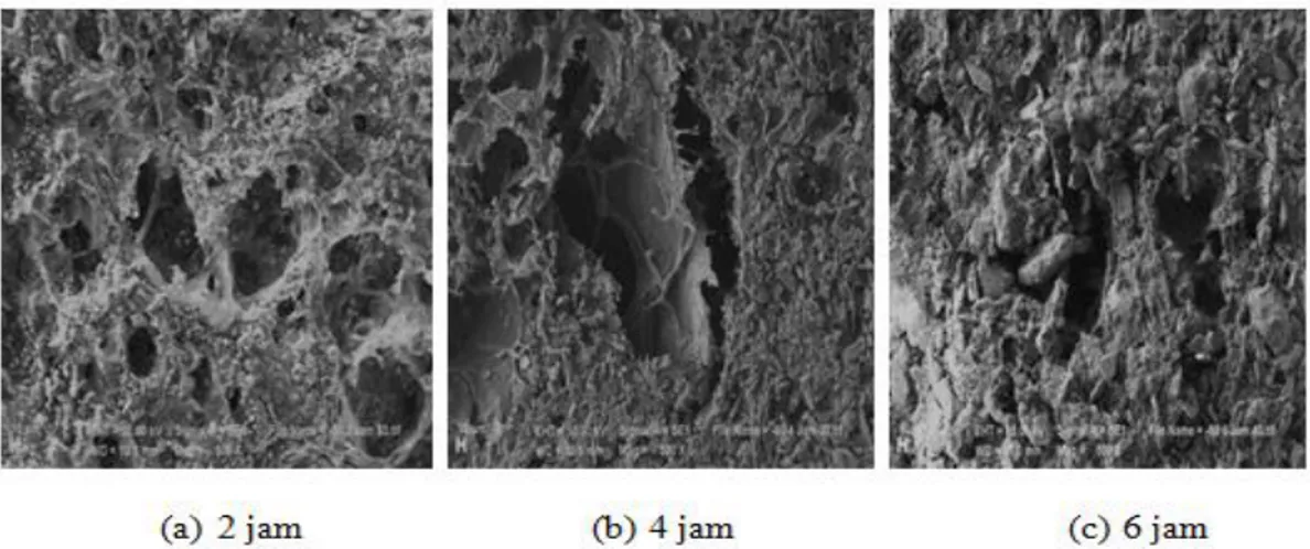 Gambar 1.3 Hasil Uji SEM Komposit Kolagen-Hidroksiapatit Pada Suhu -30°C 