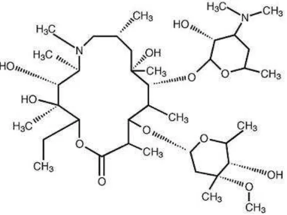 Gambar 1. Struktur kimia azitromisin.16 