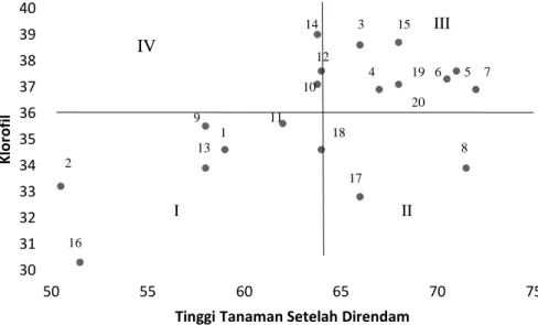 Gambar 6. Seleksi Tanaman Populasi BC 2 F 2. Siam Pada Tinggi Tanaman Setelah Direndam 