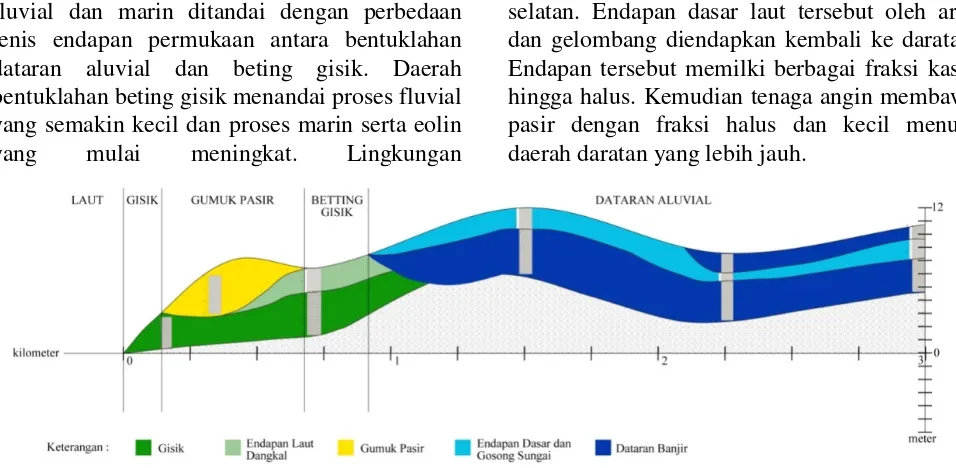Gambar 6 . Rekontruksi Kondisi Lingkungan Pengendapan Daerah Muara Sungai Bogowonto dan Sekitarnya