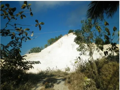 Gambar 1. Lokasi penambangan batu gamping di lingkungan Desa Bedoyo (Dokumentasi pribadi, 2014) 