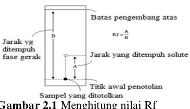 Gambar 2.1 Menghitung nilai Rf 