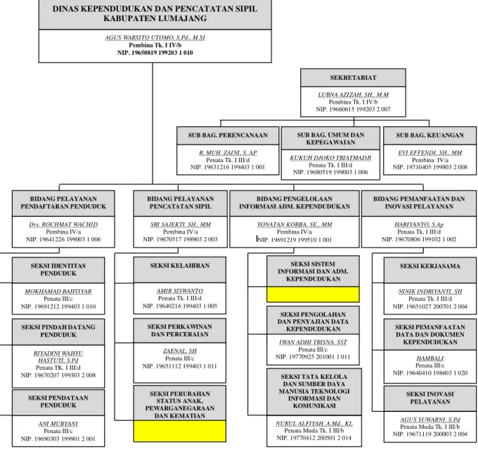 Gambar 1. Struktur Organisasi Dinas Kependudukan dan Pencatatan Sipil 