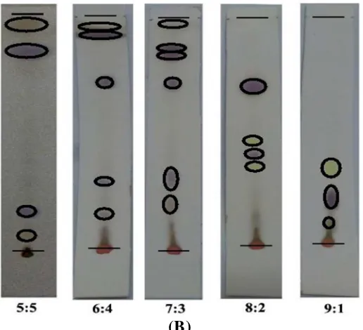 Gambar 7. Kromatografi lapis tipis fase gerak kloroform: metanol   