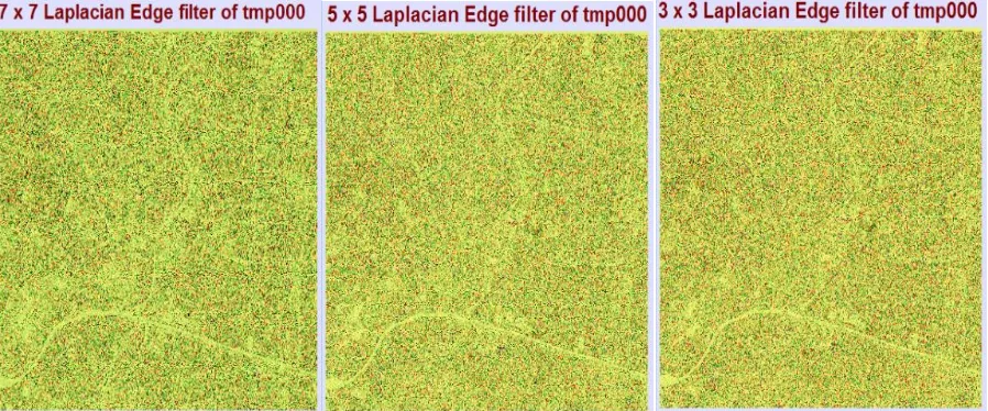 Gambar 3. Hasil Filter Laplacian Edge Enhancement 