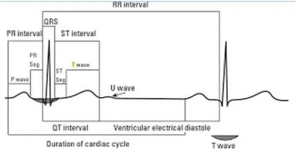 Gambar 1. Hubungan temporal gelombang-gelombang EKG yang berbeda serta penamaan berbagai interval dan segmen