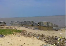 Gambar 2. Ekosistem Pantai Berpasir berbentuk  chenier (Foto: Dokumentasi Lapangan, 2015) 