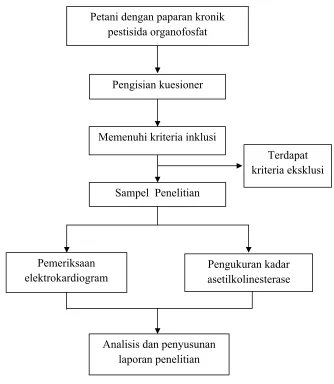 Gambar 7. Alur Penelitian