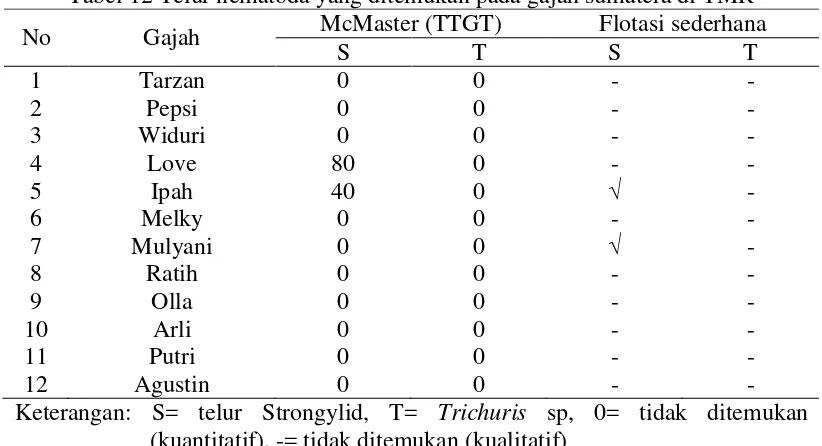 Tabel 12 Telur nematoda yang ditemukan pada gajah sumatera di TMR 