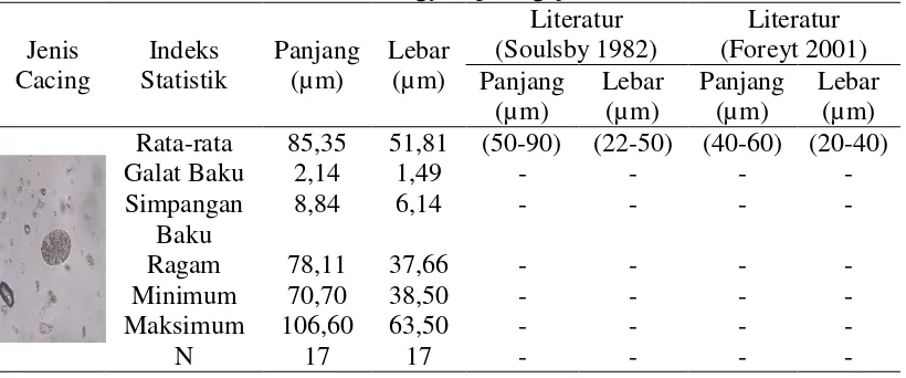 Tabel 13 Ukuran telur Strongylid pada gajah sumatera di TMR 