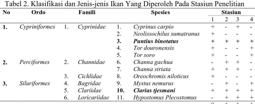 Tabel 2. Klasifikasi dan Jenis-jenis Ikan Yang Diperoleh Pada Stasiun Penelitian No 
