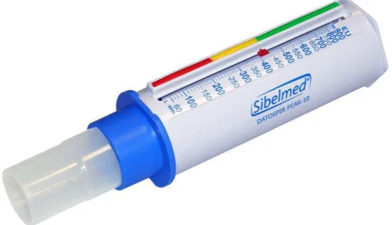 Gambar 3. peak flow meter46  