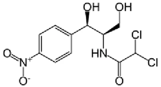 Gambar 2.1 Rumus struktur kloramfenikol  Nama Kimia   :  D-treo-(-)-2,2-Dikloro-N- 