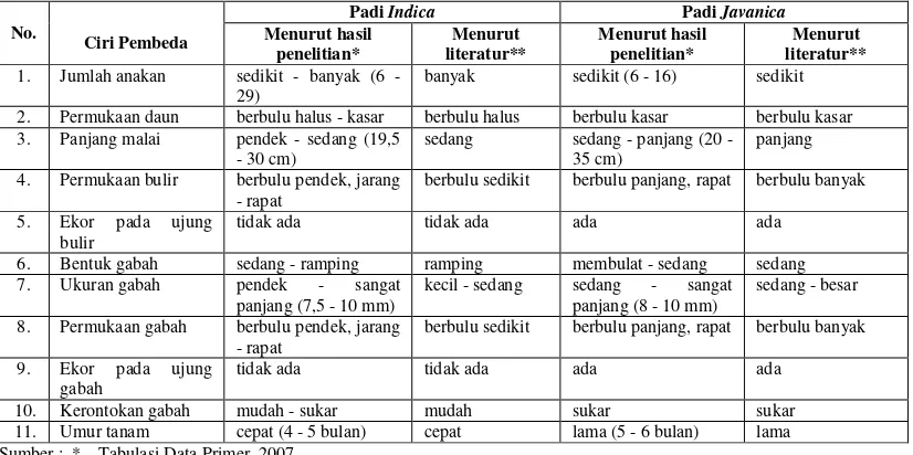 Tabel 4.   Perbandingan Karakteristik Padi Indica dan Javanica 