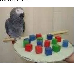 Figure 1. A parrot game picture 