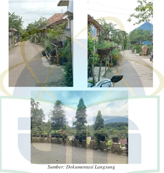 Gambar  6  memperlihatkan  keadaan  lingkungan  sekitar  dengan  polybag  sayuran  yang  tertata  rapih  di  halaman  rumah  masyarakat  dan lingkungan  Desa Raharja