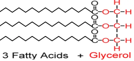 Gambar 2. 1 Rumus bangun trigliserida 