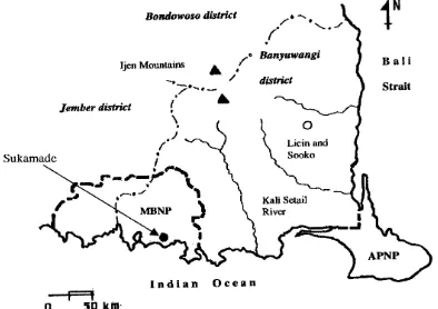 Fig. 1. Eastern Part of Java, MBNP is Meru Betiri National Park East Java [18]. Samples were photographed with standard comparator 