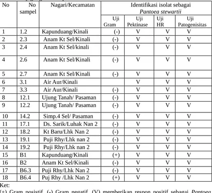 Tabel 3.  Hasil identifikasi bakteri yang dicurigai Pantoea stewartii dari sentra produksijagung di Kabupaten Pasaman Barat