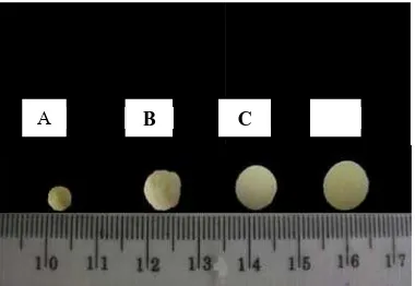 Tabel 5. Rata- rata kalsium algkelinci yanpertambahginat-kitosang dibedah shan berat (an yang mensetelah 1, 2 (%) dan dingandung indan 3 hari piameter (mmndometasin pemberian om) dari mpada lambuobat