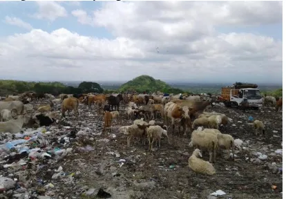 Gambar 2. Kondisi tempat pembuangan sampah  di Dusun Ngablak (Dokumentasi lapangan, 2017) 