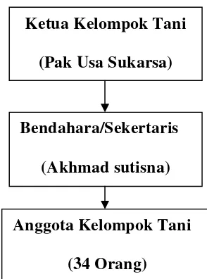 Gambar 2. Struktur organisasi kelompok tani