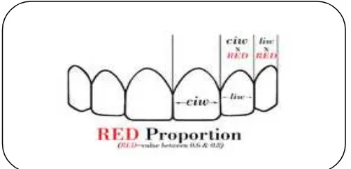 Gambar 10. Penggunaan konsep RED proportion27