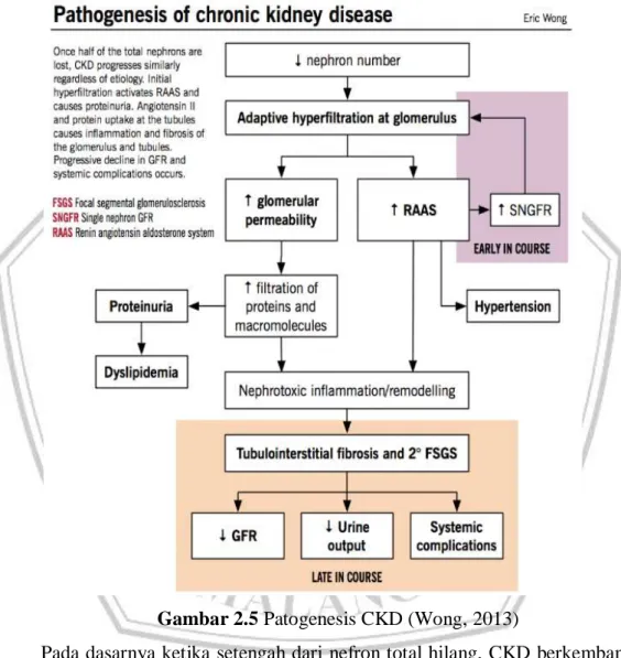 Gambar 2.5 Patogenesis CKD (Wong, 2013) 