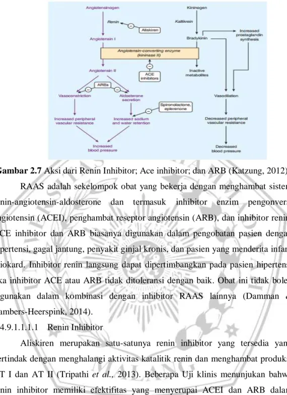 Gambar 2.7 Aksi dari Renin Inhibitor; Ace inhibitor; dan ARB (Katzung, 2012). 