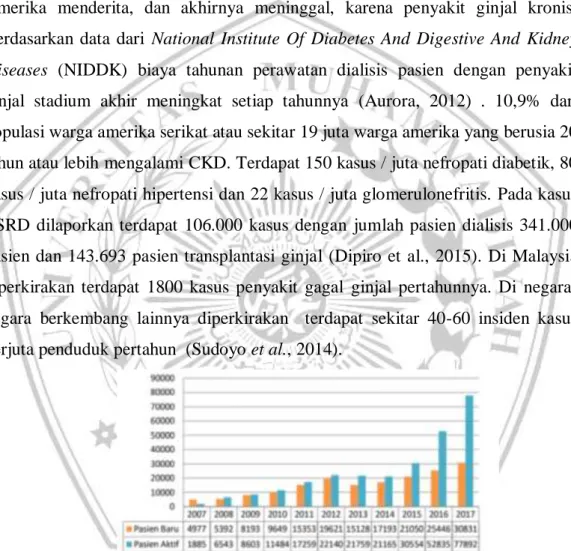 Gambar 2.3 Grafik pasien Hemodialisis pada tahun 2007-2017  Menurut  PERNEFRI  (Perkumpulan  Nefrologi  Indonesia)  dalam  10th  Report Of Indonesian Renal Registry tahun 2017 jumlah pasien CKD di Indonesia  terus  meningkat  dari  tahun  ke  tahun  sejala
