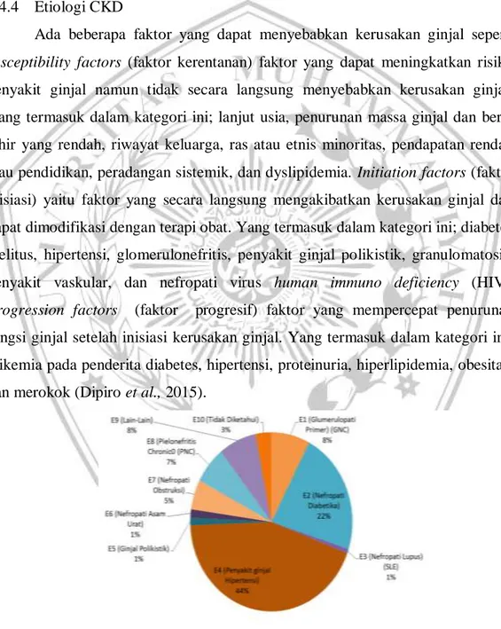 Gambar 2.4 Proporsi (%) etiologi pada CKD (Indonesian Renal Registry,  2017) 