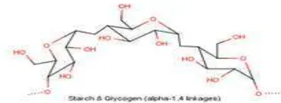 Gambar 1.  Struktur molekul pati     Sumber : Anonim (2009) 