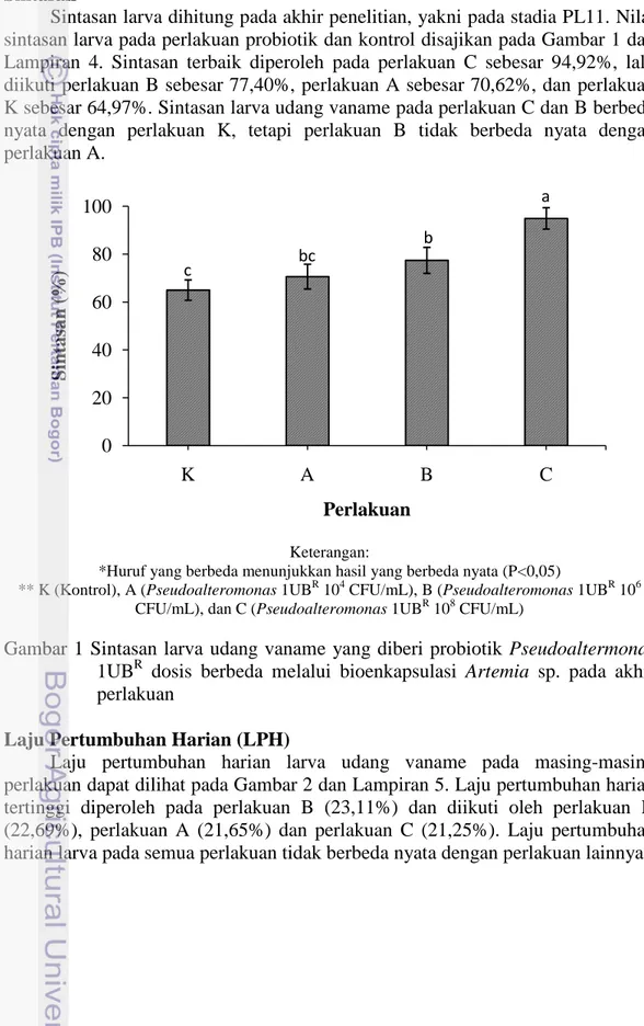 Gambar  1  Sintasan  larva  udang  vaname  yang  diberi  probiotik  Pseudoaltermonas  1UB R   dosis  berbeda  melalui  bioenkapsulasi  Artemia  sp