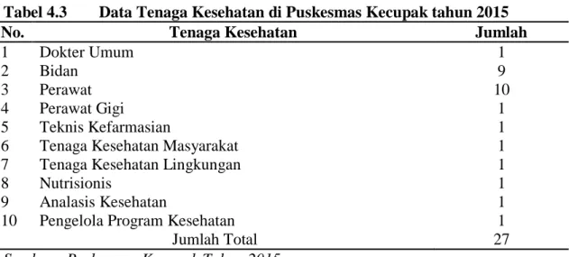 Tabel 4.3  Data Tenaga Kesehatan di Puskesmas Kecupak tahun 2015 