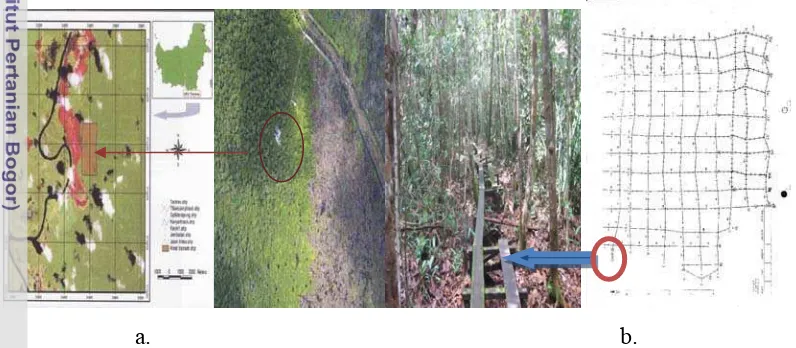 Gambar 8. a) Letak geografis Camp Tuanan dan b) Areal Hutan stasiun penelitian 