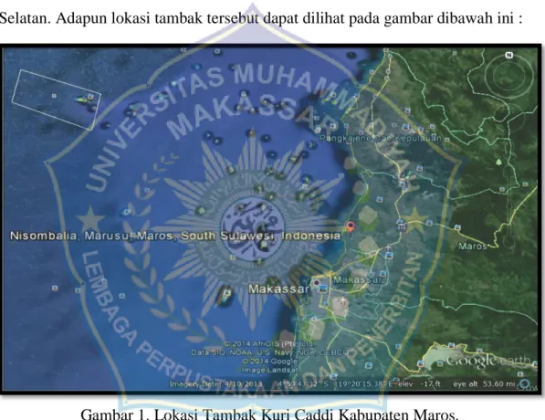 Gambar 1. Lokasi Tambak Kuri Caddi Kabupaten Maros. 